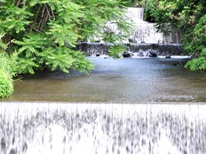 水へのこだわり